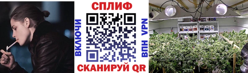 Как найти закладки Шали А ПВП Мефедрон ГАШ МАРИХУАНА