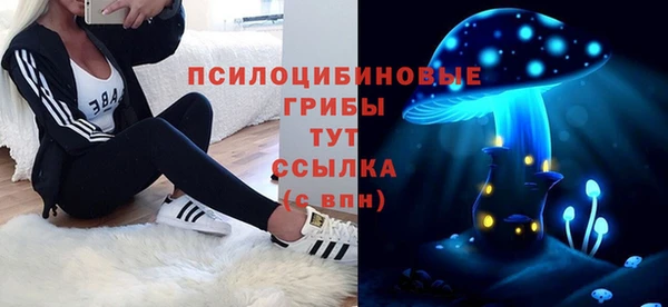 амф Белоозёрский