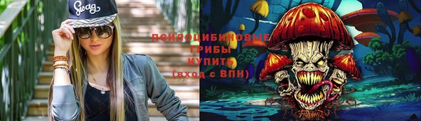 стафф Беломорск